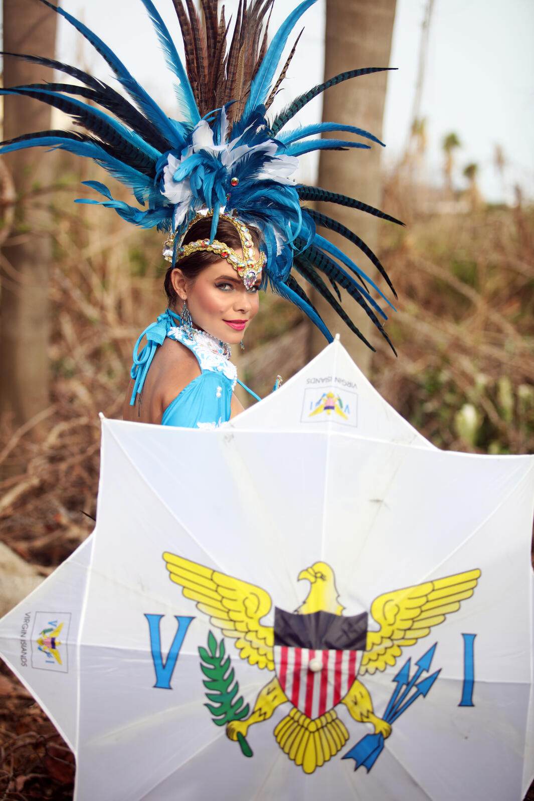 Our Colors Will Not Fade: 2017